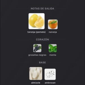 Muit Al Absar EDP 100ml - Imagen 4